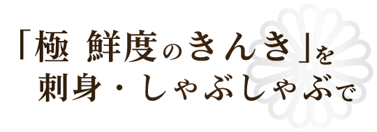 きんきしゃぶ刺身_タイトル1